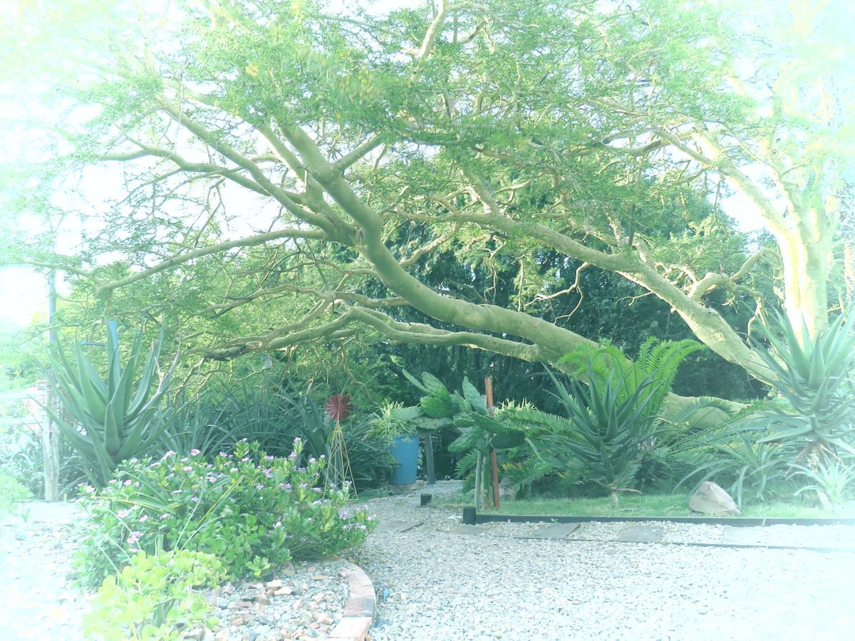 Wiltshire Rondavel Vila Port Alfred Exterior foto